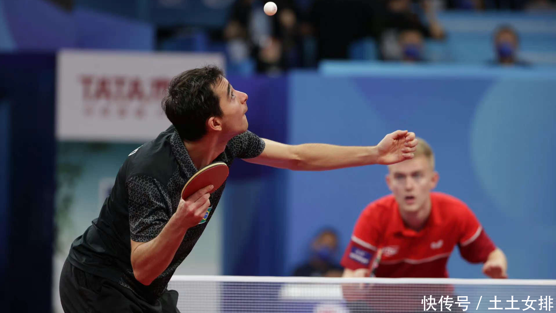 打出了令对 打出了令对