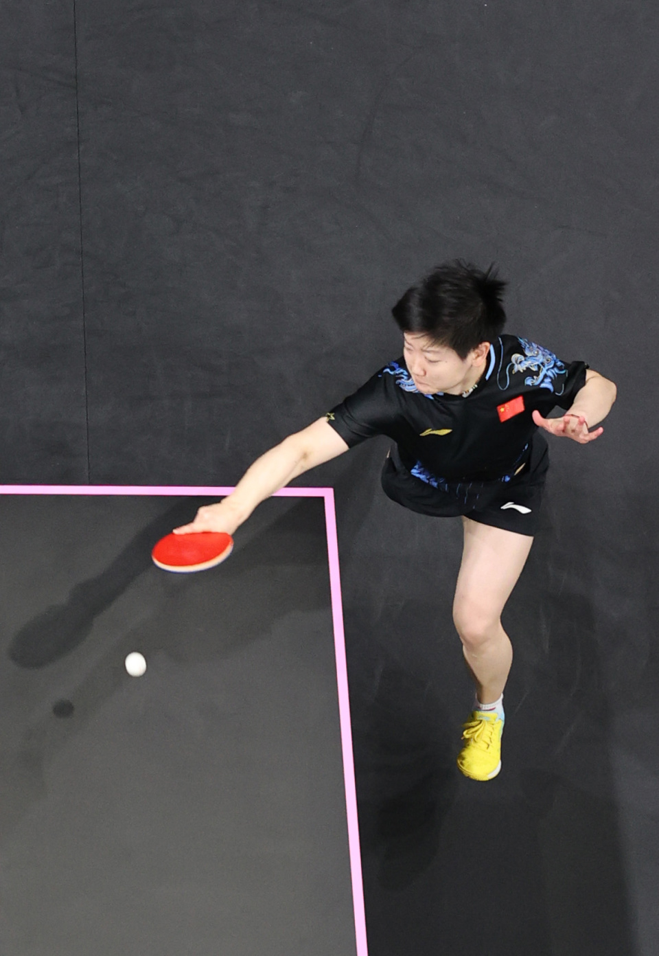 浙江队的整 浙江队的整