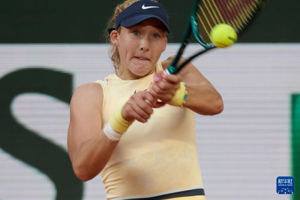 鹈鹕队的整 鹈鹕队的整